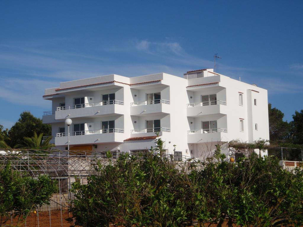 Sunset Oasis Ibiza Adults Only - New Rooms 2025 Sant Antoni de Portmany Екстериор снимка
